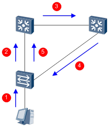 real-layer2-network2.png